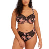 ELOMI EL4116WCR MORGAN FULL BRIEF