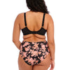 ELOMI EL4116WCR MORGAN FULL BRIEF