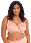 ELOMI EL4111BAK MORGAN UW FULL CUP BRA