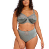ELOMI EL4036WIW CATE FULL BRIEF