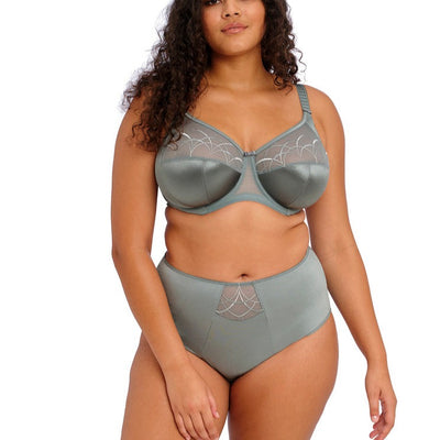 ELOMI EL4036WIW CATE FULL BRIEF