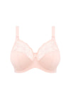 ELOMI EL4111BAK MORGAN UW FULL CUP BRA