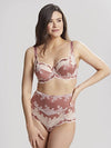 PANACHE 7254SIA CLARA HIGH WAIST BRIEF