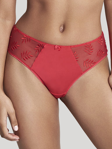 PANACHE 9073ROE BRIEF