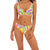 FREYA AS202913MUI TUSAN BEACH UW PLUNGE BIKINI TOP