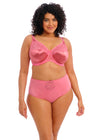 ELOMI EL4036DRE CATE FULL BRIEF