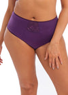 ELOMI EL4036PLM CATE FULL BRIEF
