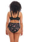 ELOMI EL4116MOW MORGAN FULL BRIEF