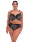 ELOMI EL4116SEI MORGAN FULL BRIEF