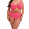 ELOMI EL4380HOE CHARLEY UW PLUNGE BRA