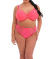 ELOMI EL4386HOE CHARLEY HIGH LEG BRIEF
