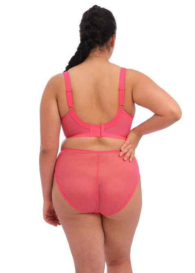 ELOMI EL4386HOE CHARLEY HIGH LEG BRIEF