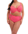 ELOMI EL4388HOE CHARLEY FULL BRIEF