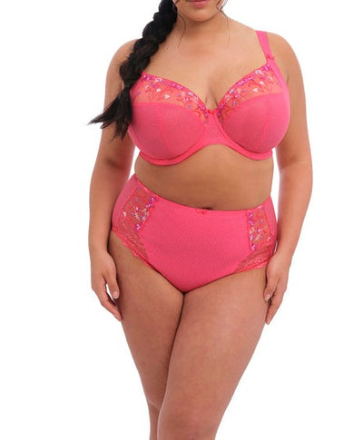 ELOMI EL4388HOE CHARLEY FULL BRIEF