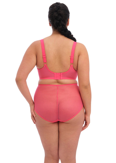 ELOMI EL4388HOE CHARLEY FULL BRIEF