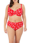 ELOMI ES7272RFL PLAIN SAILING BIKINI TOP