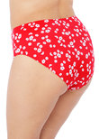 ELOMI ES7275RFL PLAIN SAILING BIKINI BRIEF