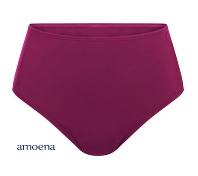 AMOENA 71386 LA PAZ HIGH WAIST BRIEF