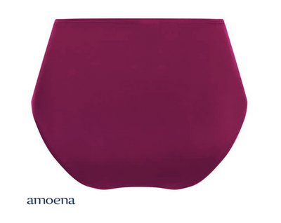 AMOENA 71386 LA PAZ HIGH WAIST BRIEF