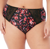 ELOMI EL4116ATE MORGAN FULL BRIEF
