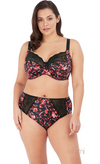ELOMI EL4116ATE MORGAN FULL BRIEF