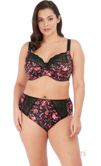 ELOMI EL4116ATE MORGAN FULL BRIEF