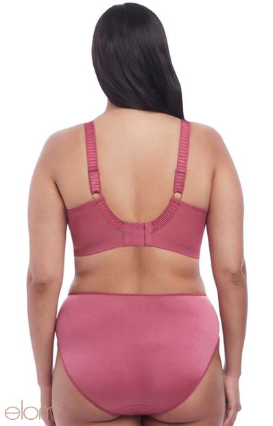 ELOMI EL4035MUY CATE FULL BRIEF